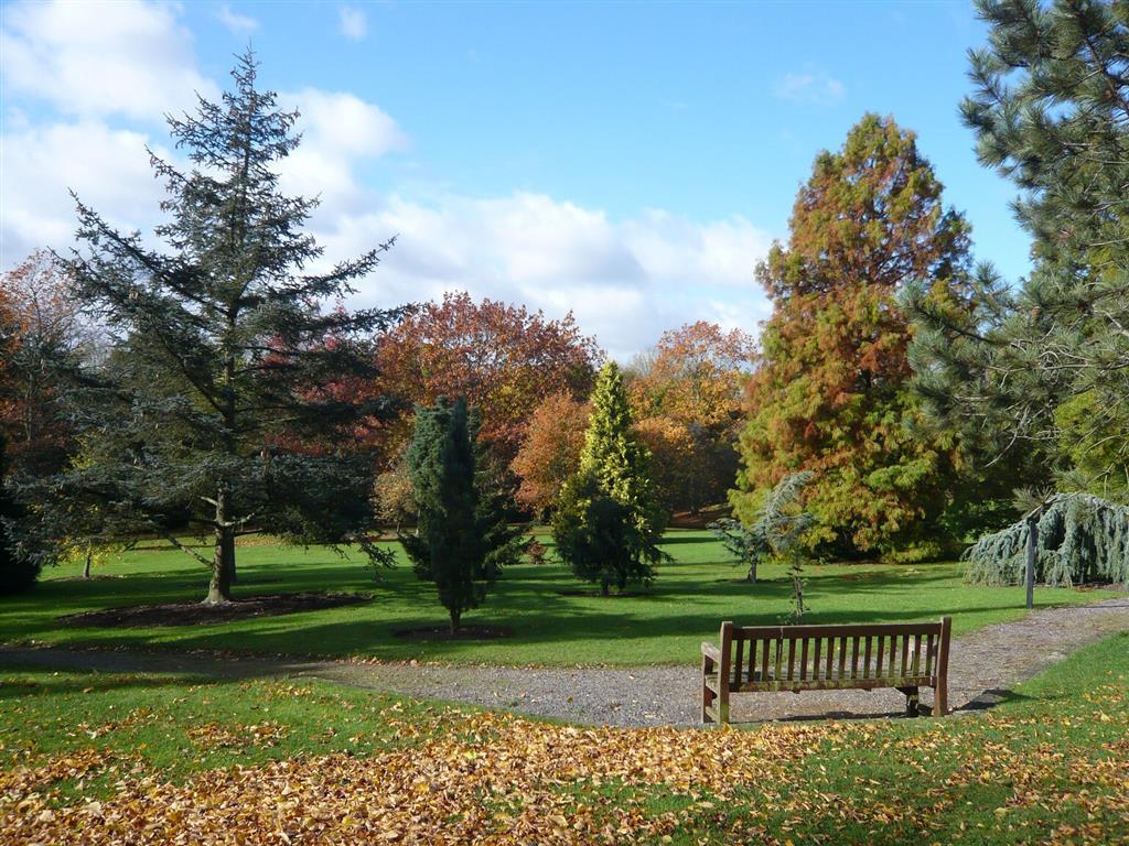 West Park